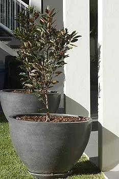 ****  Hotel Friday On The Beach Byron Bay Austrálie